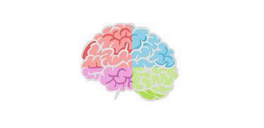 COLORED BRAIN COMMUNICATION - DR ALI QASSEM